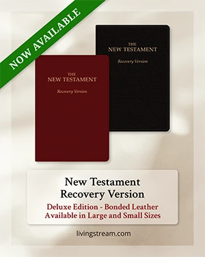 English New Testament Recovery Version - deluxe edition