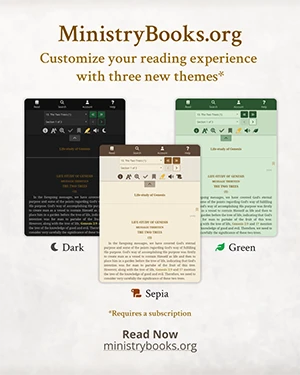 Themes on ministrybooks.org