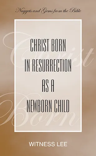 Christ Born in Resurrection as a Newborn Child
